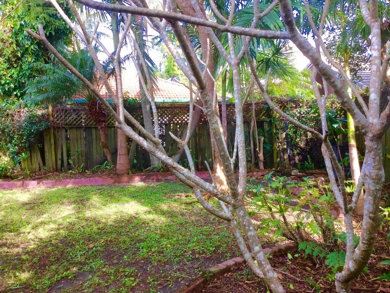 8 Carissa Court, Suffolk Park NSW 2481