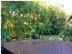 1/57 Shelley Drive, Byron Bay NSW 2481