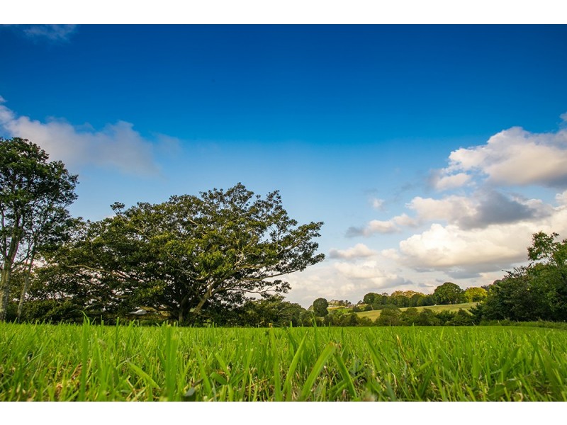 92 Plantation Drive, Ewingsdale NSW 2481