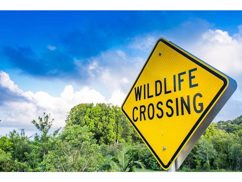 92 Plantation Drive, Ewingsdale NSW 2481