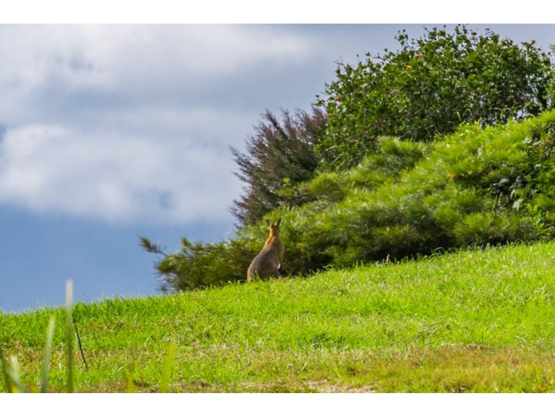 152 Burnetts Road, Nashua NSW 2479