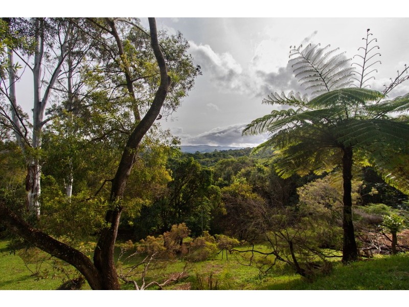 322 Kings Road, Federal NSW 2480