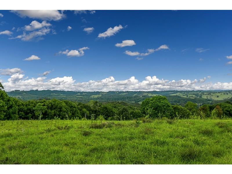 7 Eureka Road, Rosebank NSW 2480