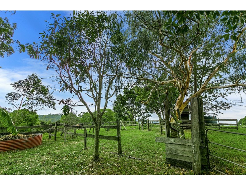 7 Eureka Road, Rosebank NSW 2480