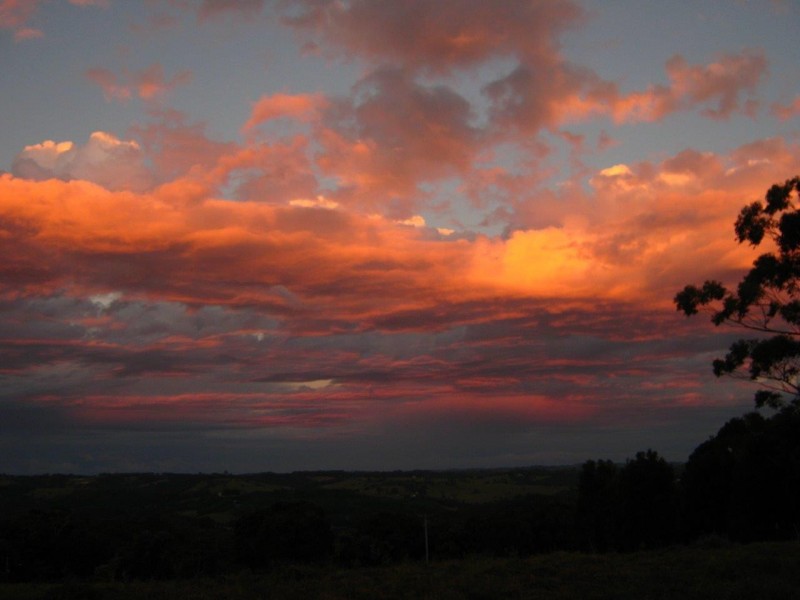 7 Eureka Road, Rosebank NSW 2480