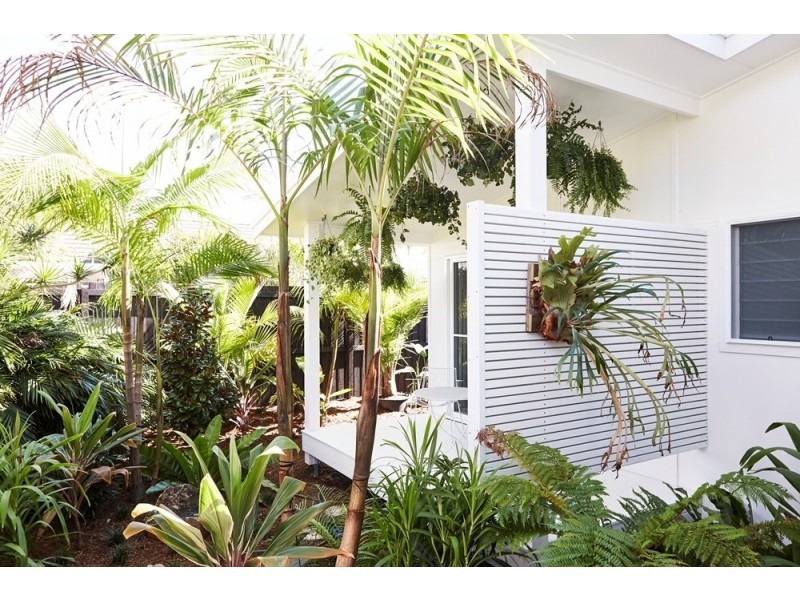 38 Kingsley Street, Byron Bay NSW 2481