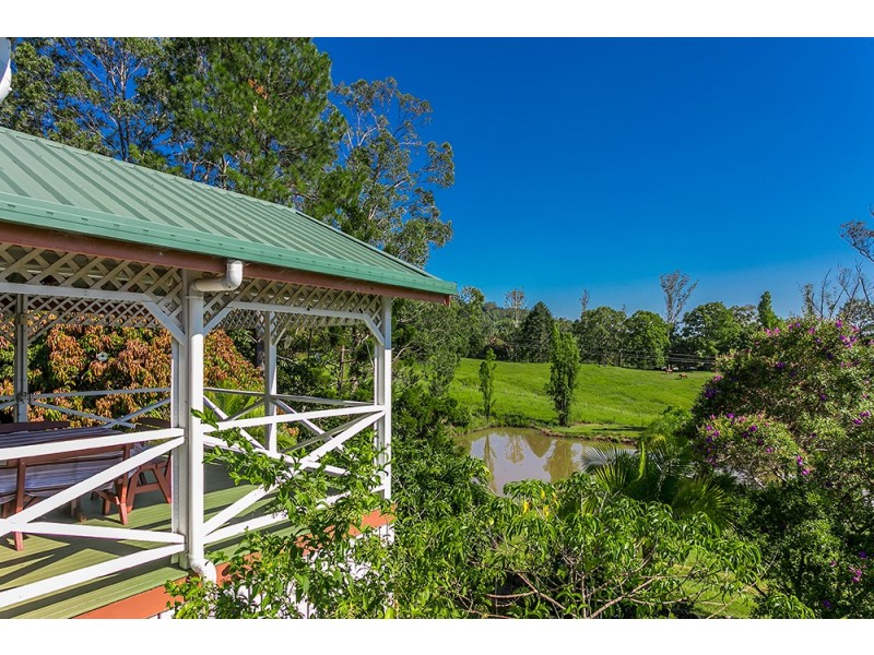 256 Dingo Lane, Myocum NSW 2481