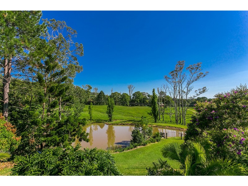 256 Dingo Lane, Myocum NSW 2481