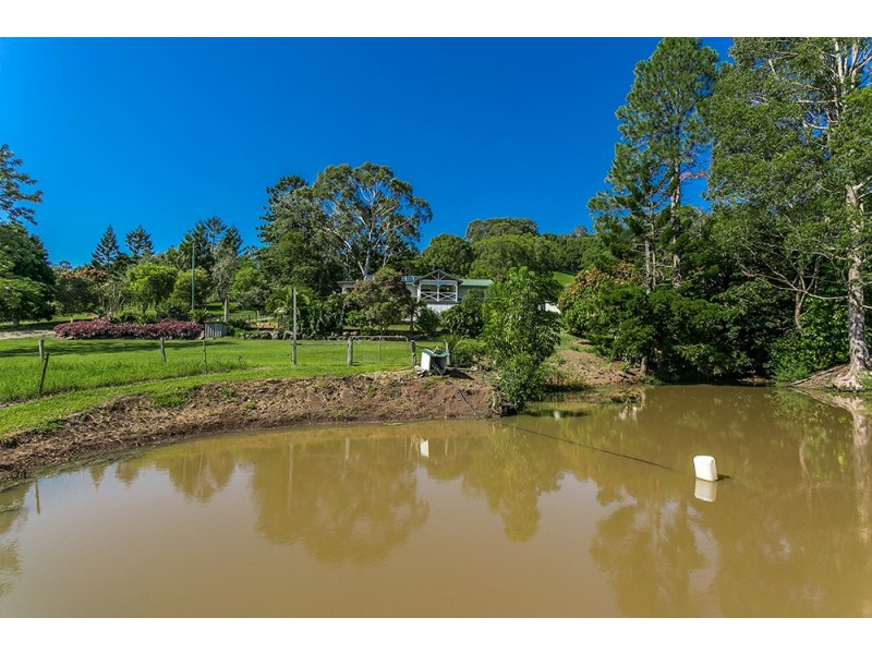 256 Dingo Lane, Myocum NSW 2481