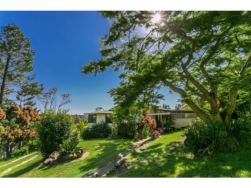 256 Dingo Lane, Myocum NSW 2481