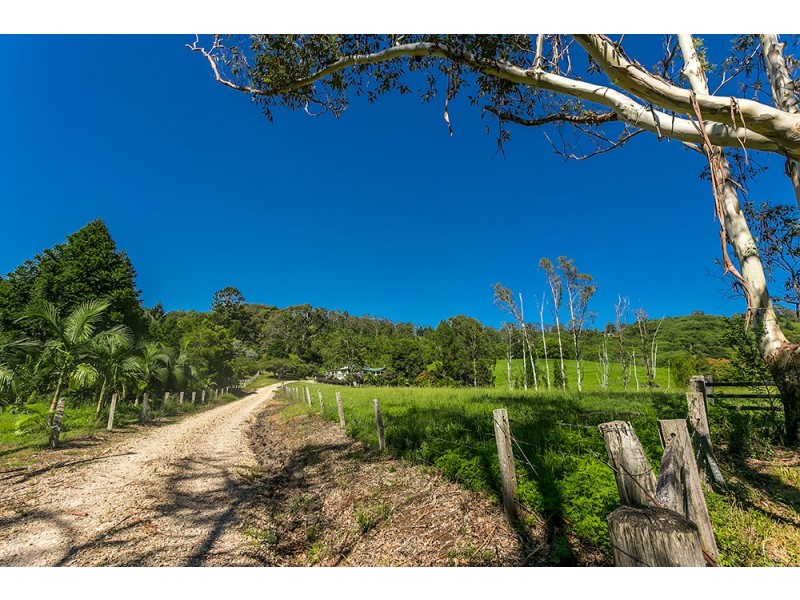 256 Dingo Lane, Myocum NSW 2481