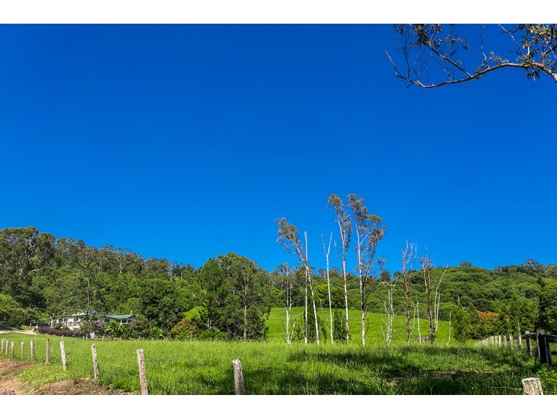 256 Dingo Lane, Myocum NSW 2481