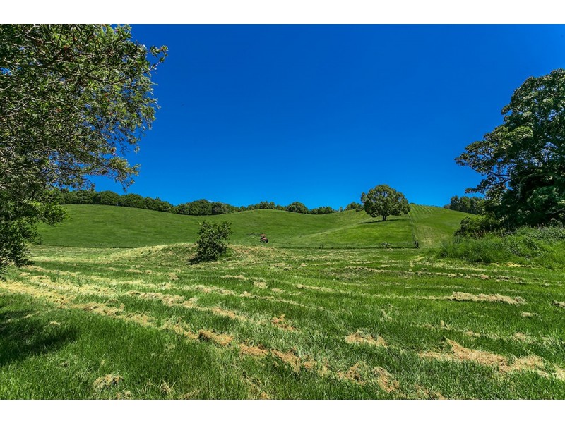 892 Main Arm Road, Main Arm NSW 2482