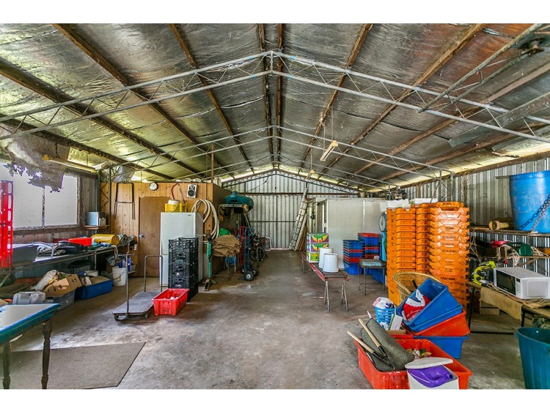 179 Main Arm Road, Mullumbimby NSW 2482
