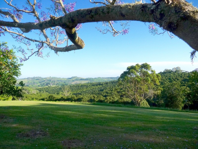 311 Booyong Road, Nashua NSW 2479