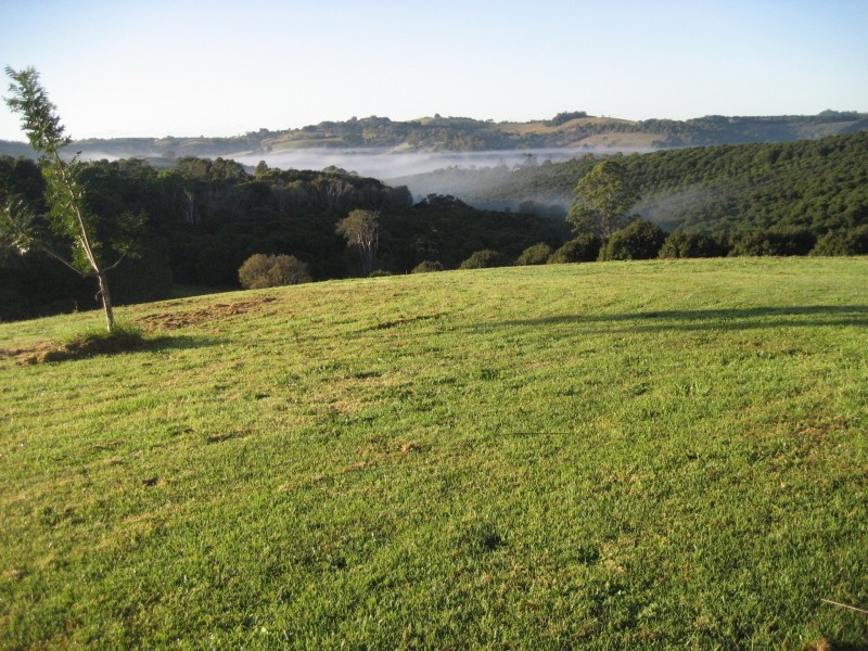 311 Booyong Road, Nashua NSW 2479