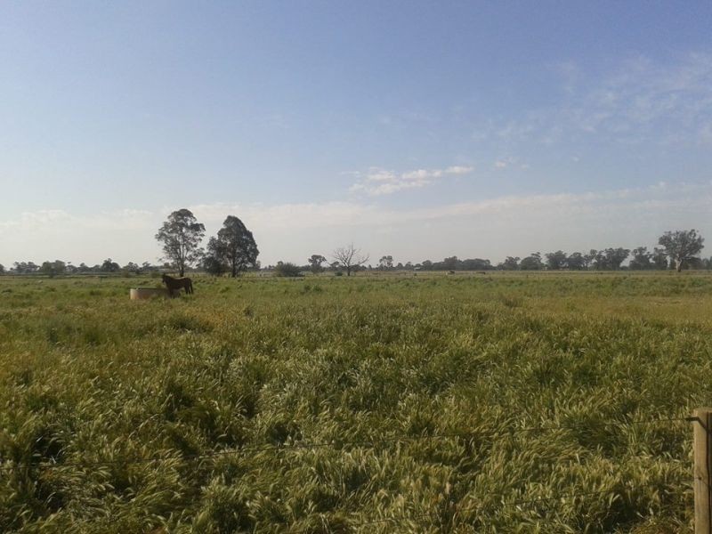 783 River Rd, Murchison VIC 3610