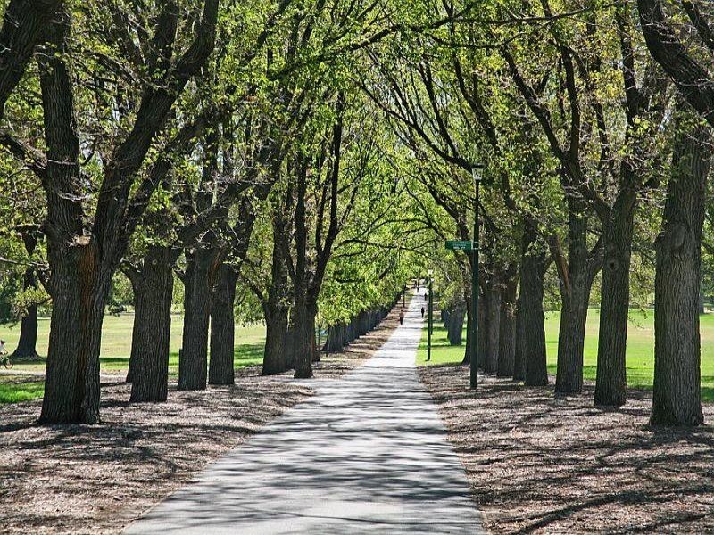 10/501 Punt Road, South Yarra VIC 3141