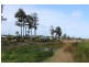 11 Flagstone Terrace, Smithfield QLD 4878
