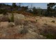 56 Morundah Place, Kelmscott WA 6111