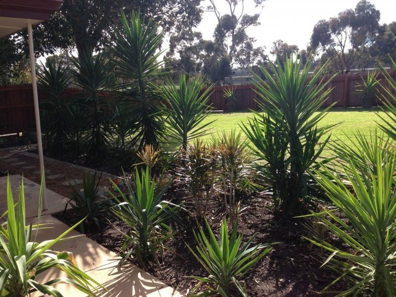 57 Scott Street, Koongamia WA 6056