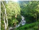 Upper Wilsons Creek NSW 2482