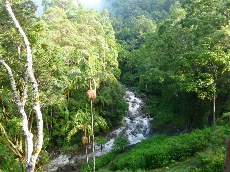 Upper Wilsons Creek NSW 2482