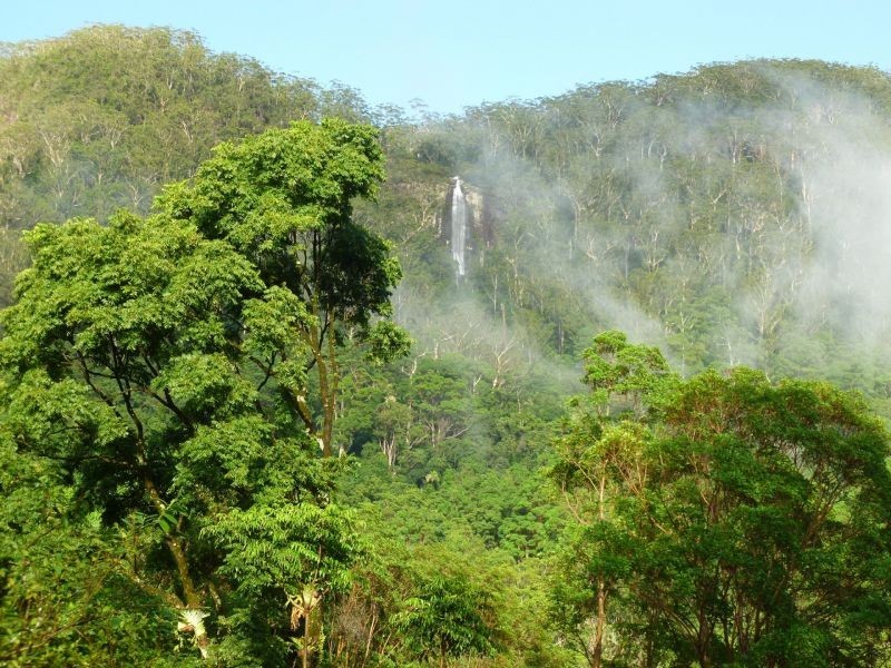 Upper Wilsons Creek NSW 2482