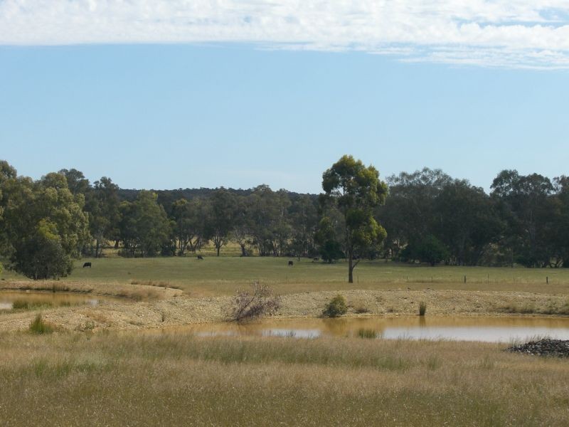 Lot/1 Lp220041 Waanyarra Road, Waanyarra VIC 3551