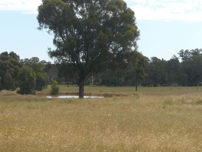 Lot/1 Lp220041 Waanyarra Road, Waanyarra VIC 3551