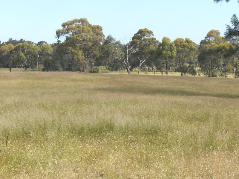 Lot/1 Lp220041 Waanyarra Road, Waanyarra VIC 3551