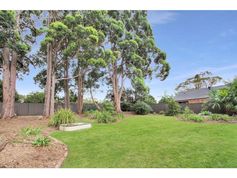 23 Orton Street, Barden Ridge NSW 2234