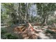 87 Kildeys Road, Cootharaba QLD 4565