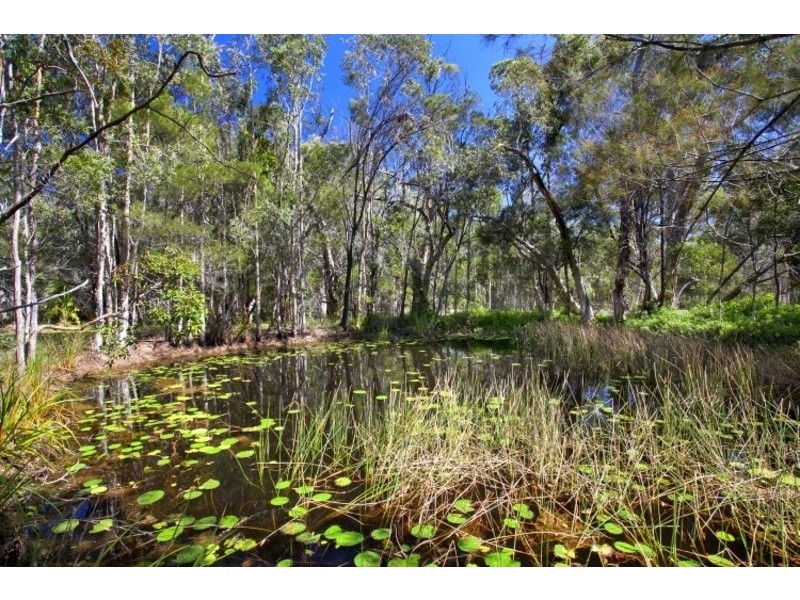 354 Lake Cooroibah Road, Cooroibah QLD 4565