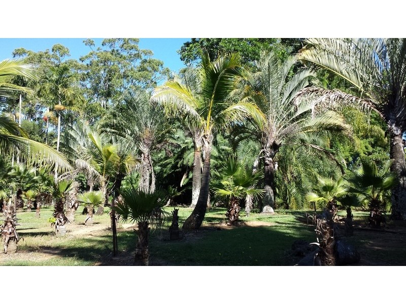 1503 Louis Bazzo Drive, Cootharaba QLD 4565