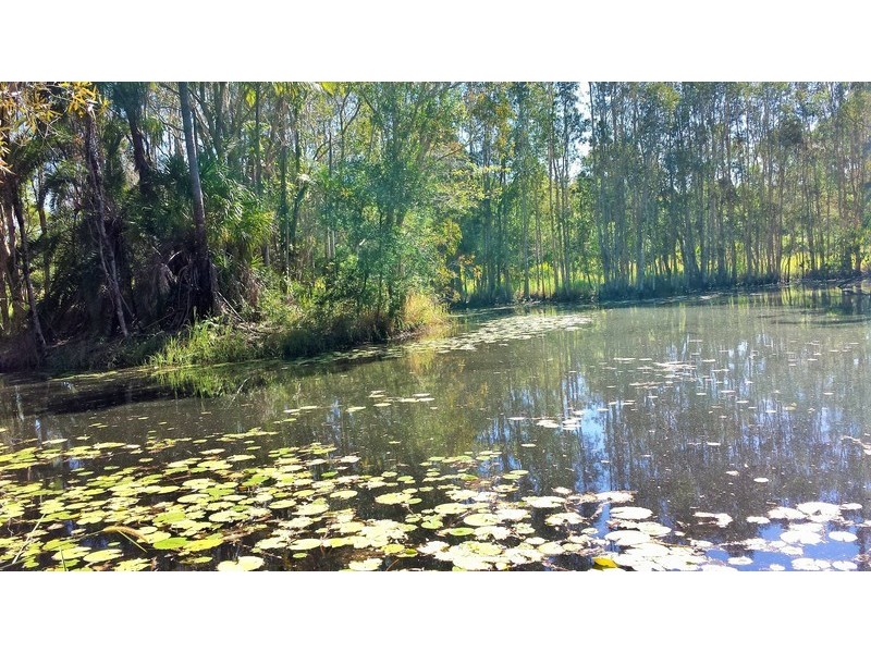 1503 Louis Bazzo Drive, Cootharaba QLD 4565