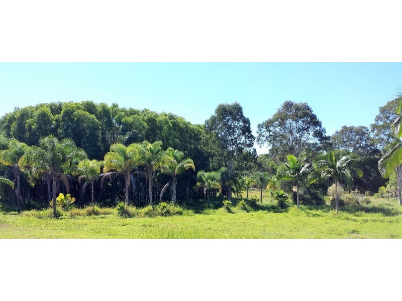 1503 Louis Bazzo Drive, Cootharaba QLD 4565