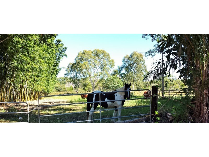 1503 Louis Bazzo Drive, Cootharaba QLD 4565