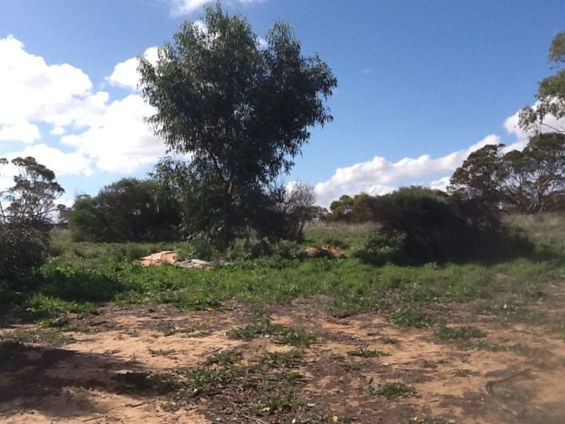 1583 Bowhill Road, Murray Bridge SA 5253