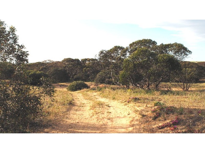 1583 Bowhill Road, Murray Bridge SA 5253