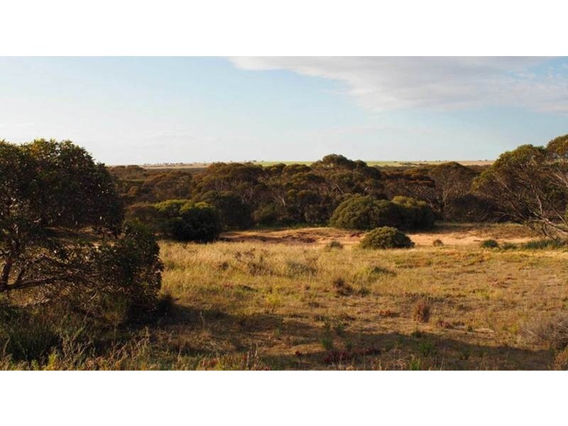 1583 Bowhill Road, Murray Bridge SA 5253