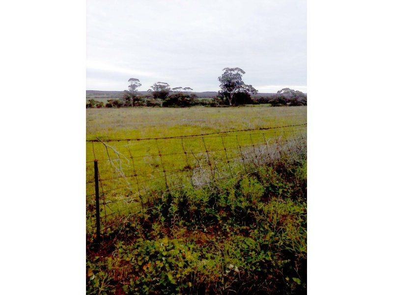 1583 Bowhill Road, Murray Bridge SA 5253