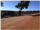 202 Thiele Road, Barmera SA 5345