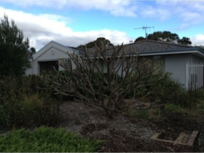 7 Offley Street,, Hamilton Hill WA 6163