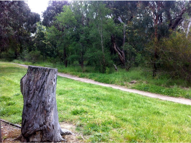 10/13 John Street, Blackburn VIC 3130