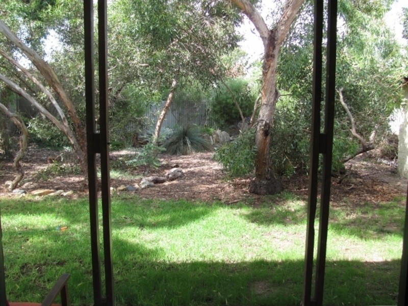 36 Young Avenue, West Hindmarsh SA 5007