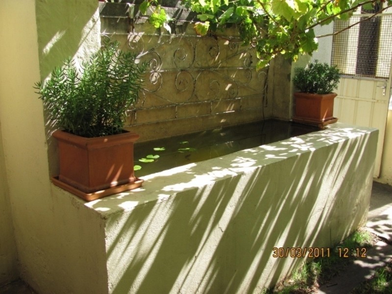 36 Young Avenue, West Hindmarsh SA 5007