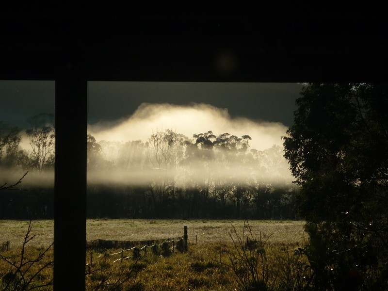 1409 Tumoulin Road, Tumoulin QLD 4888