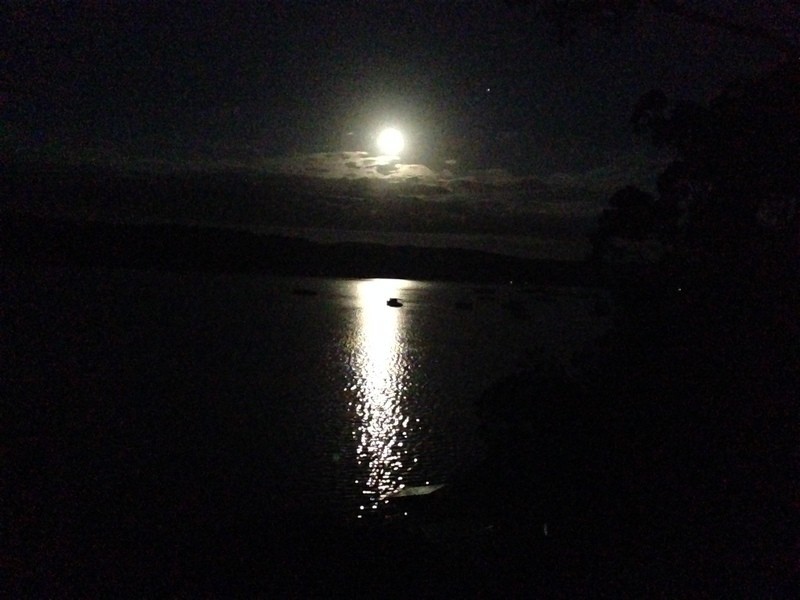 12 Thyra road, Palm Beach NSW 2108