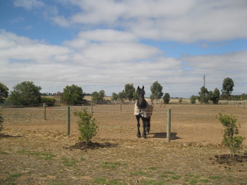 30 Lockaba Drive, Strathalbyn SA 5255